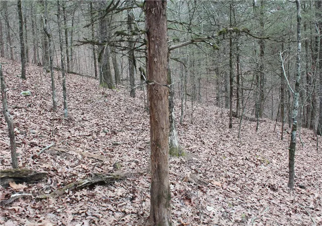 5th image of 8737 Six Mile Rd, Magazine, AR 72943 | MLS# 1357083