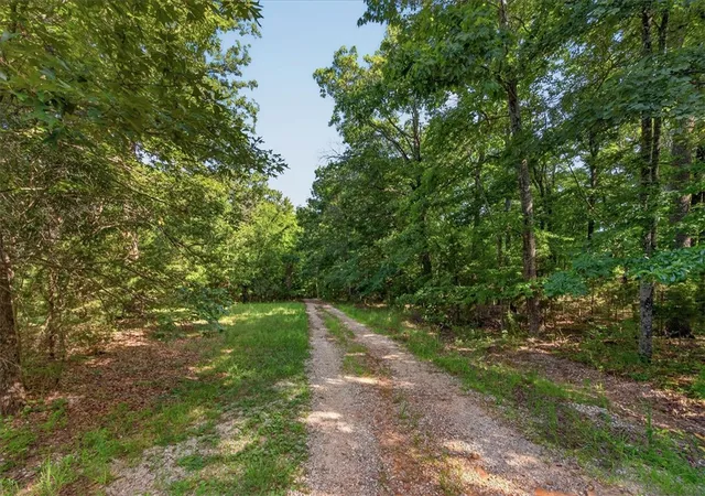 Photo 3 of Land for sale at 995 Acres Madison 2347, Huntsville, AR 72740 | MLS# 1356886 | Listing updated on 2026-07-30