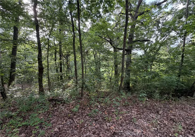 1st image of Circle Dr, Huntsville, AR 72740 | MLS# 1357310