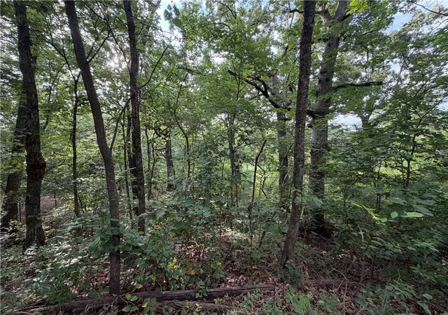 2nd image of Circle Dr, Huntsville, AR 72740 | MLS# 1357310