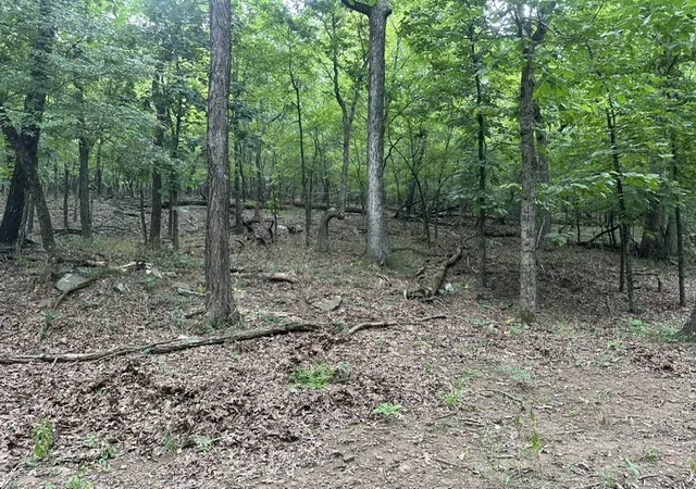 2nd image of 14295 Blue Mountain Rd, Prairie Grove, AR 72753 | MLS# 1357359