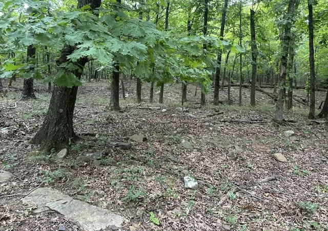 4th image of 14295 Blue Mountain Rd, Prairie Grove, AR 72753 | MLS# 1357359