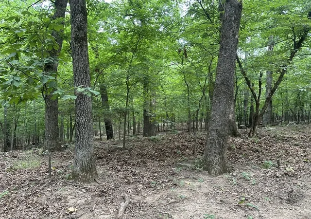 6th image of 14295 Blue Mountain Rd, Prairie Grove, AR 72753 | MLS# 1357359