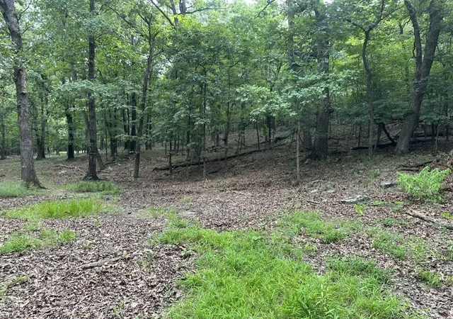 1st image of 14315 Blue Mountain Rd, Prairie Grove, AR 72753 | MLS# 1357362