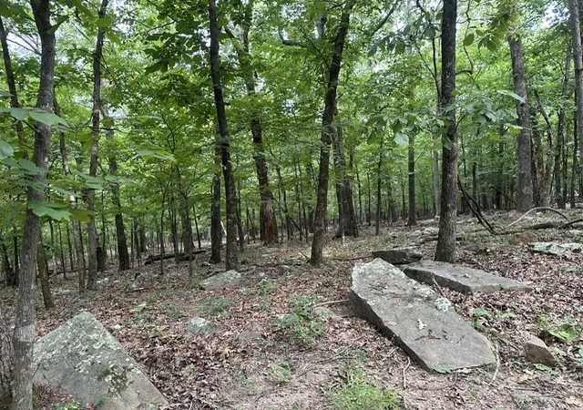 4th image of 14315 Blue Mountain Rd, Prairie Grove, AR 72753 | MLS# 1357362