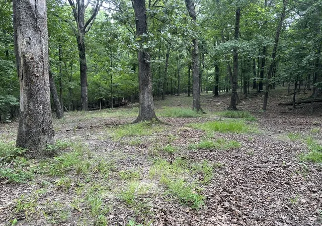 5th image of 14315 Blue Mountain Rd, Prairie Grove, AR 72753 | MLS# 1357362