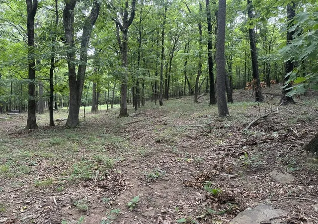 6th image of 14315 Blue Mountain Rd, Prairie Grove, AR 72753 | MLS# 1357362