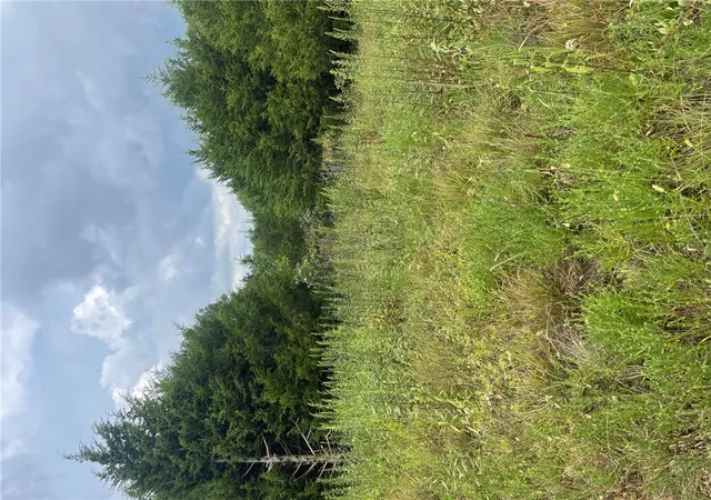 8th image of Tbd Cr 972, Alpena, AR 72611 | MLS# 1357370