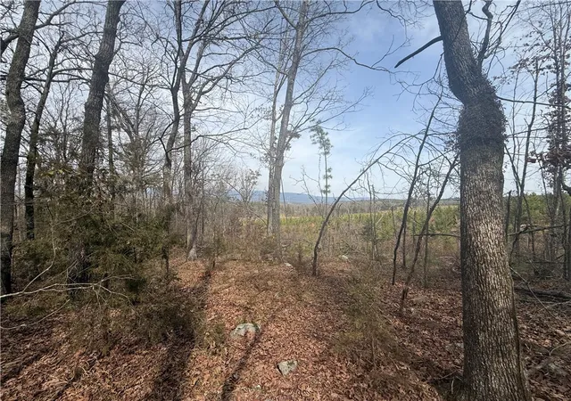 23rd image of 000 Pea Ridge Rd, Havana, AR 72842 | MLS# 1357432