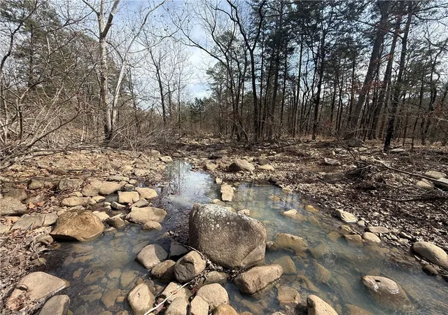 3rd image of 000 Pea Ridge Rd, Havana, AR 72842 | MLS# 1357432