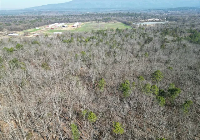 4th image of 000 Pea Ridge Rd, Havana, AR 72842 | MLS# 1357432