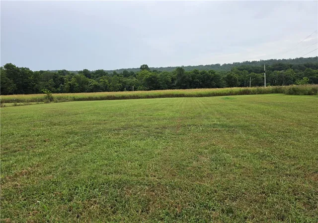 25th image of 15146 Bush Valley Rd, Canehill, AR 72717 | MLS# 1357485