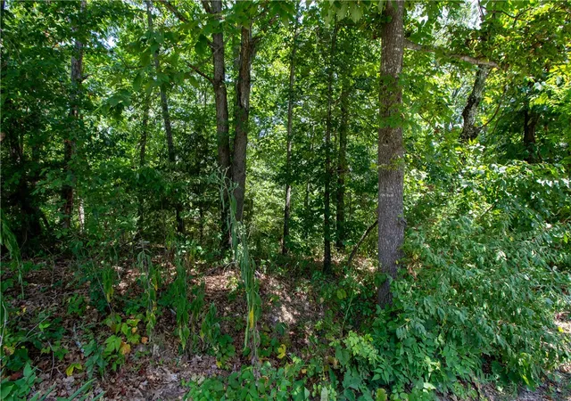 Photo 2 of Land for sale at 14600 Canyon Rd, Bella Vista, AR 72715 | MLS# 1357538 | Listing updated on 2026-08-03
