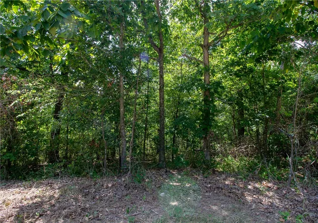 Photo 3 of Land for sale at 14600 Canyon Rd, Bella Vista, AR 72715 | MLS# 1357538 | Listing updated on 2026-08-03