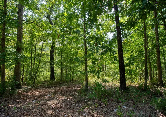 Photo 3 of Land for sale at 14600 Canyon Rd, Bella Vista, AR 72715 | MLS# 1357538 | Listing updated on 2026-08-03