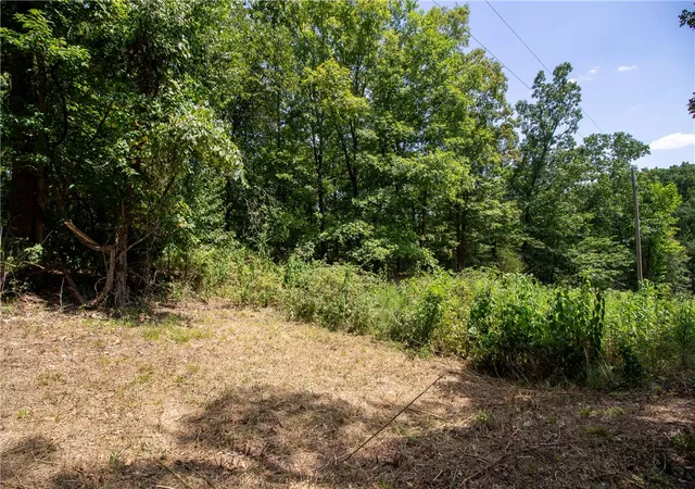 Photo 4 of Land for sale at 14600 Canyon Rd, Bella Vista, AR 72715 | MLS# 1357538 | Listing updated on 2026-08-03