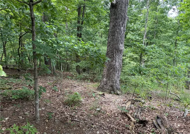 Photo 1 of Land for sale at 15 Dregg Ln, Bella Vista, AR 72714 | MLS# 1356701 | Listing updated on 2026-08-04