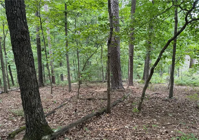 Photo 3 of Land for sale at 15 Dregg Ln, Bella Vista, AR 72714 | MLS# 1356701 | Listing updated on 2026-08-04