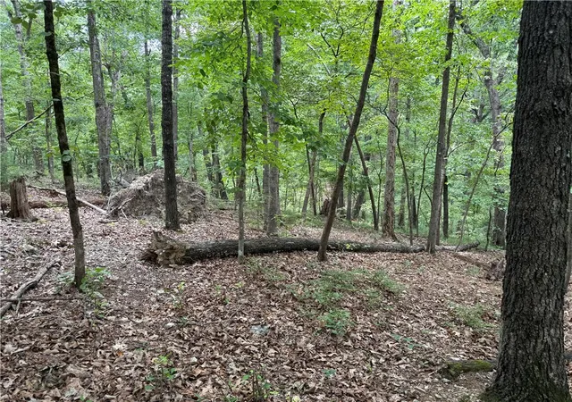 Photo 3 of Land for sale at 15 Dregg Ln, Bella Vista, AR 72714 | MLS# 1356701 | Listing updated on 2026-08-04