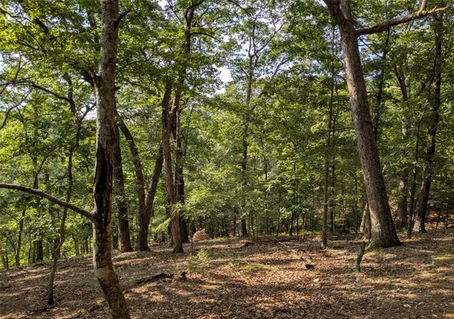Photo 3 of Land for sale at Tbd E Mountain St, Eureka Springs, AR 72632 | MLS# 1357492 | Listing updated on 2026-08-27