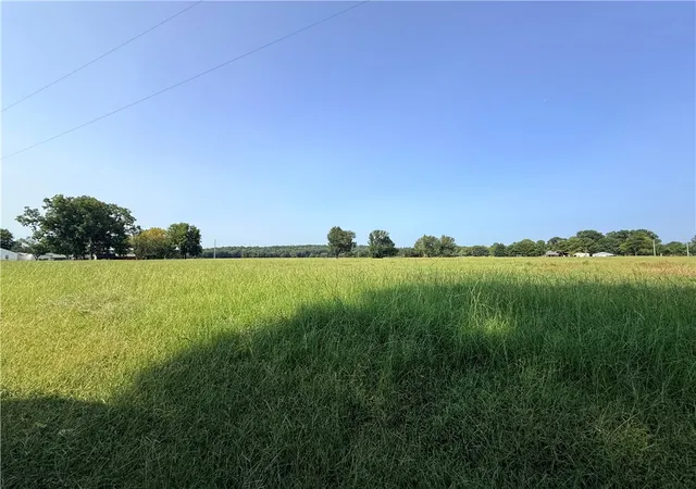 1st image of Hwy 307, Belleville, AR 72824 | MLS# 1357649