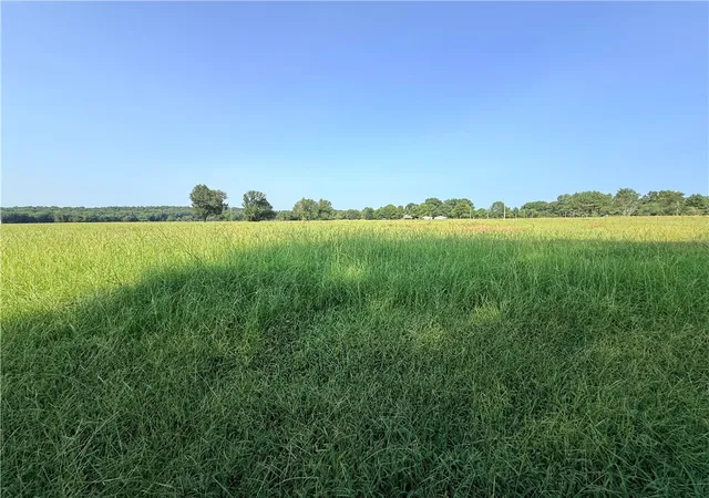 2nd image of Hwy 307, Belleville, AR 72824 | MLS# 1357649