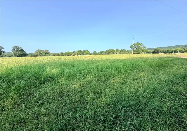 3rd image of Hwy 307, Belleville, AR 72824 | MLS# 1357649