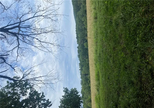3rd image of Hwy 215, Oark, AR 72852 | MLS# 1357722