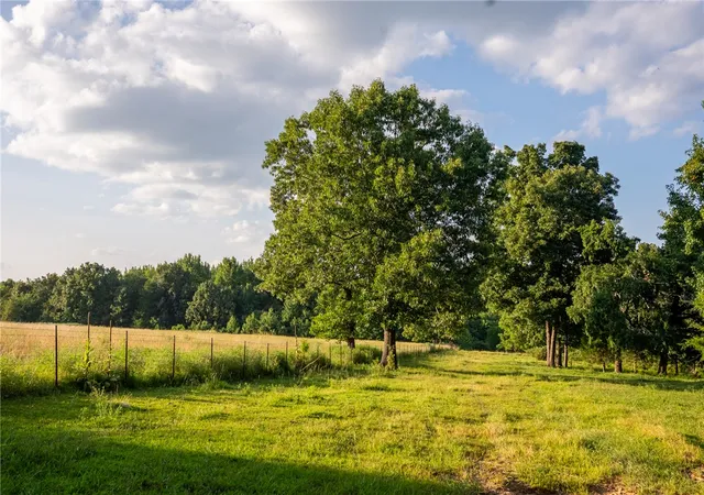 3rd image of Nc 1650, Harrison, AR 72601 | MLS# 1357639