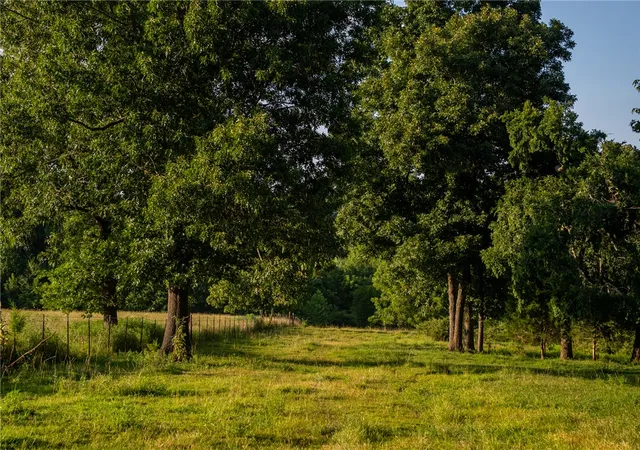 4th image of Nc 1650, Harrison, AR 72601 | MLS# 1357639