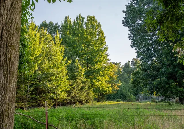 5th image of Nc 1650, Harrison, AR 72601 | MLS# 1357639