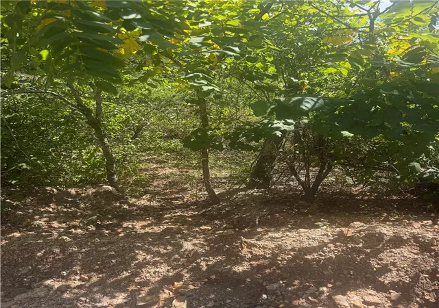 1st image of Tbd (lot 25) Cardinal Ln, Diamond City, AR 72644 | MLS# 1357751