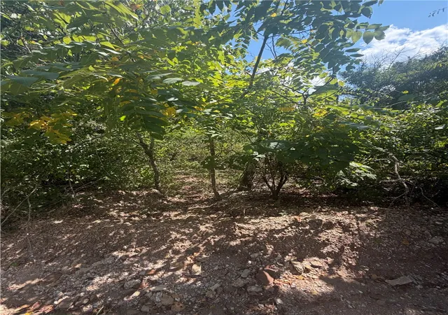 2nd image of Tbd (lot 25) Cardinal Ln, Diamond City, AR 72644 | MLS# 1357751