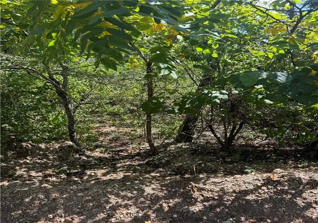 3rd image of Tbd (Lot 25) Cardinal Ln, Diamond City, AR 72644 | MLS# 1357751