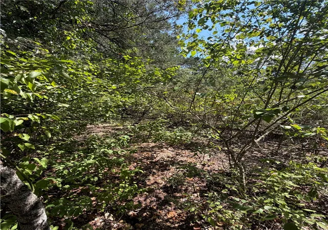 4th image of Tbd (Lot 25) Cardinal Ln, Diamond City, AR 72644 | MLS# 1357751
