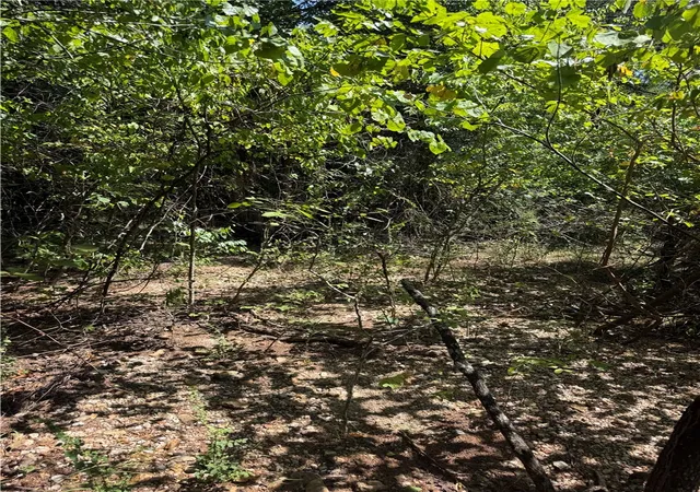5th image of Tbd (Lot 25) Cardinal Ln, Diamond City, AR 72644 | MLS# 1357751