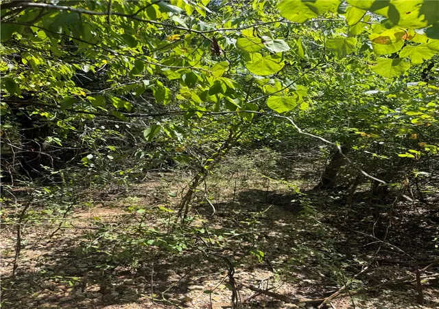 6th image of Tbd (lot 25) Cardinal Ln, Diamond City, AR 72644 | MLS# 1357751