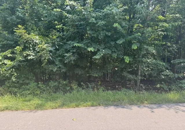 3rd image of Kintyre, Bella Vista, AR 72715 | MLS# 1357831