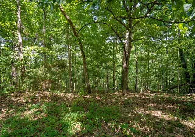 1st image of Armitage Dr, Bella Vista, AR 72715 | MLS# 1357845