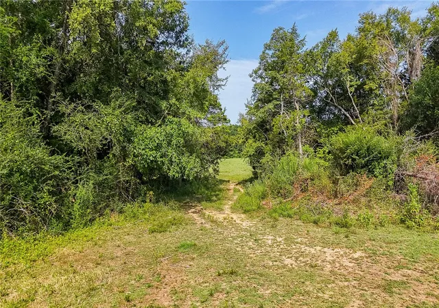 16th image of Square Rock Rd, Waldron, AR 72958 | MLS# 1357904