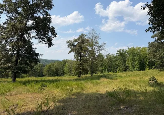 1st image of 459 Nc 3057, Marble Falls, AR 72648 | MLS# 1357929