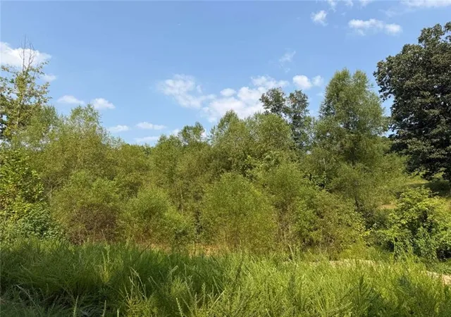 23rd image of 459 Nc 3057, Marble Falls, AR 72648 | MLS# 1357929