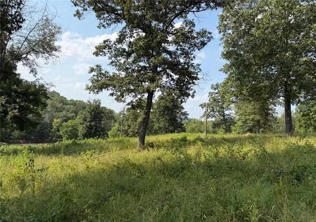 3rd image of 459 Nc 3057, Marble Falls, AR 72648 | MLS# 1357929