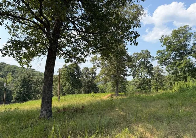 4th image of 459 Nc 3057, Marble Falls, AR 72648 | MLS# 1357929