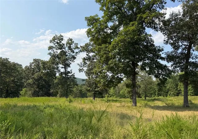 5th image of 459 Nc 3057, Marble Falls, AR 72648 | MLS# 1357929