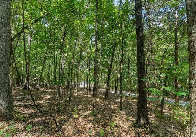 1st image of 64 Acres War Eagle Blacktop Rd, Springdale, AR 72764 | MLS# 1357805