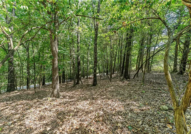 1st image of 315 Acres War Eagle Blacktop Rd, Springdale, AR 72764 | MLS# 1357806