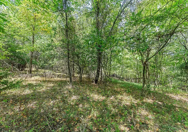 29th image of 315 Acres War Eagle Blacktop Rd, Springdale, AR 72764 | MLS# 1357806