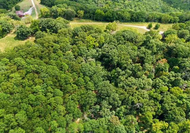 Photo 3 of Land for sale at 347 Ridgeline Rd, Eureka Springs, AR 72632 | MLS# 1358778 | Listing updated on 2026-10-06