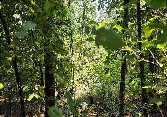 4th image of Hopewell, Harrison, AR 72601 | MLS# 1359982